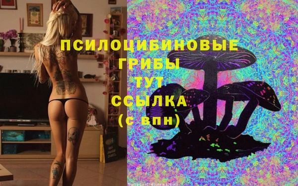 бутират Касимов